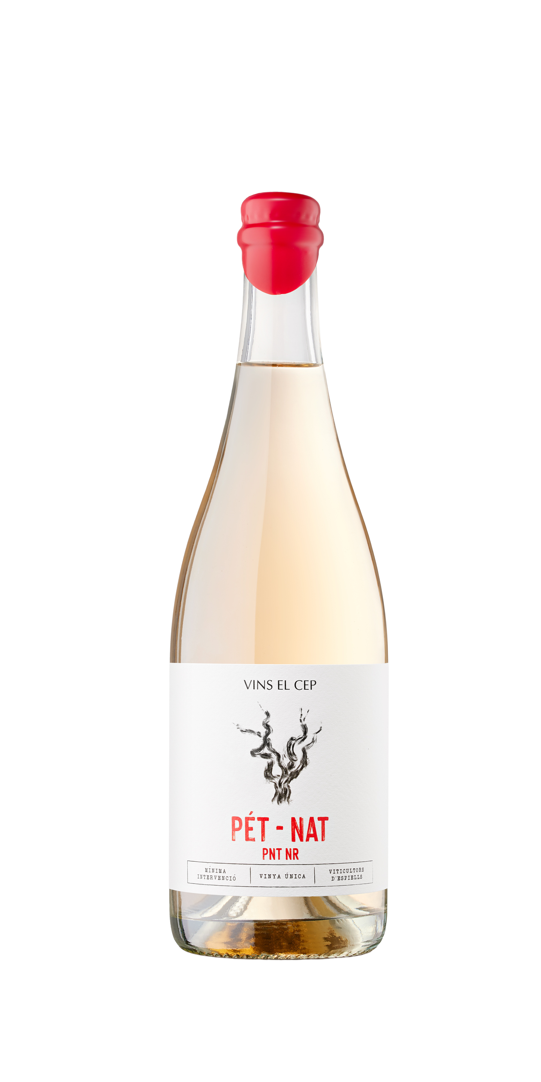 butelka pet nat vins el cep - pinot noir
